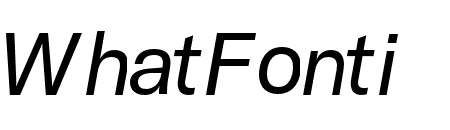 GT America Standard Regular Italic