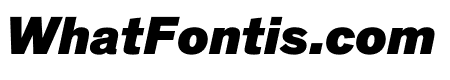 Theinhardt Black Italic