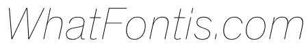 Theinhardt Hairline Italic