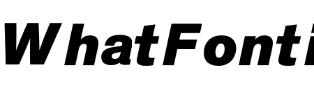Theinhardt Pan Heavy Italic