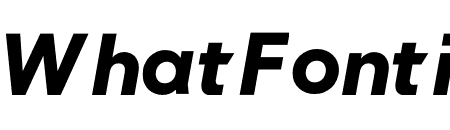 NEXT Bold Book Italic