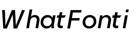 NEXT Regular Book Italic