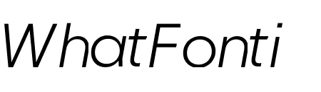 NEXT Thin Book Italic