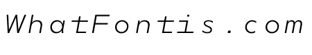 NEXT Thin Mono Italic