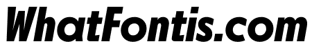 NEXT Pan Bold Poster Italic