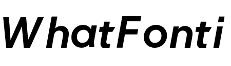NEXT Pan Medium Book Italic