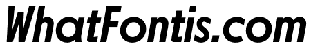 NEXT Pan Medium Poster Italic