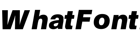 Plain Extrabold Italic