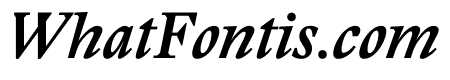 Stanley Bold Italic