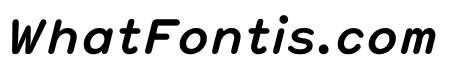 Hermes Bold Italic