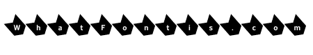 Ceremony Black K05