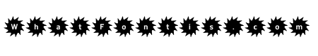 Ceremony Black O