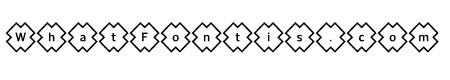 Ceremony Outline H1