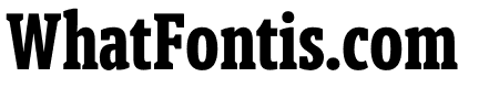 Berlingske Slab Extra condensed Bold