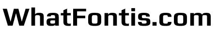 Zetta Sans Bold