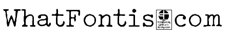 Typo Writer Distressed Demo