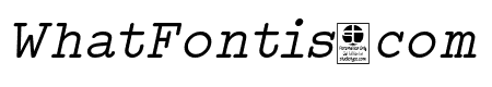 Typo Writer Demo Italic