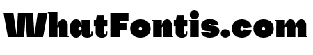 SubjectivitySerif-Super