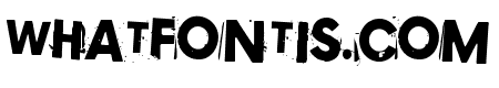 Copy 003