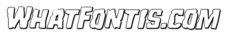 Monster Hunter 3D Italic