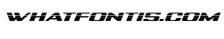 Tigershark Halftone Italic