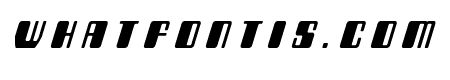 Zyborgs Title Italic