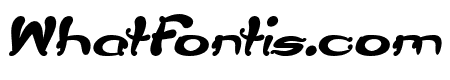 Flower Lover Bold Italic
