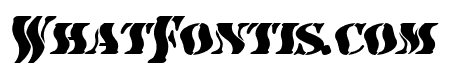AustralianFlyingCorpsStencilSC