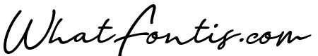 Mariachi Italic