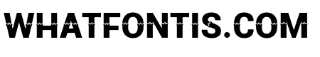 TANTIQUE