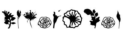 Scott Helpy Flower
