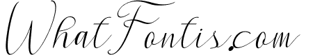 Montapallier Italic