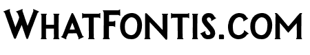 Madfish Serif