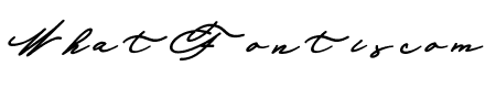 Allexandia Bold Italic Bold Italic