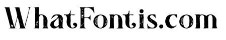 DoriesGrunge
