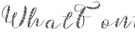 Galea Script