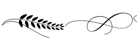 Anthasic Swashes  Leaves Bonus