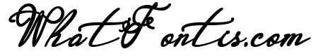 Garbera Bold Italic