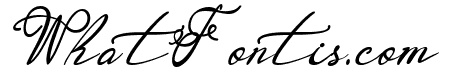 Garbera Italic