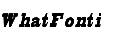 Elsora Italic