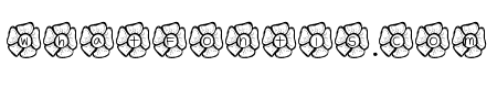 YBFlowerPower