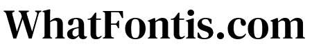 DM Serif Text Regular