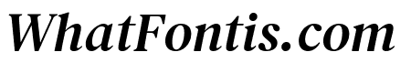 DM Serif Text Italic