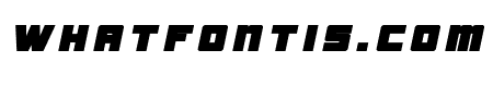 Samurai Terrapin Title Italic