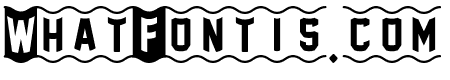[FoOtY-ScArF]