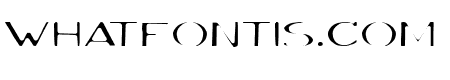 Volki Thin