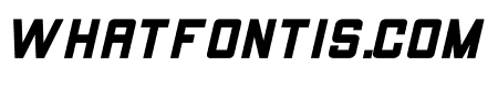 THE CHAMP Italic