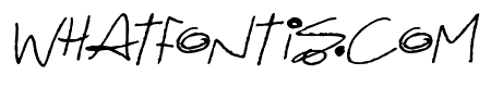 Quirky Cat Italic
