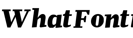FM Black Italic
