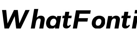 Grot10 Extrabold Italic